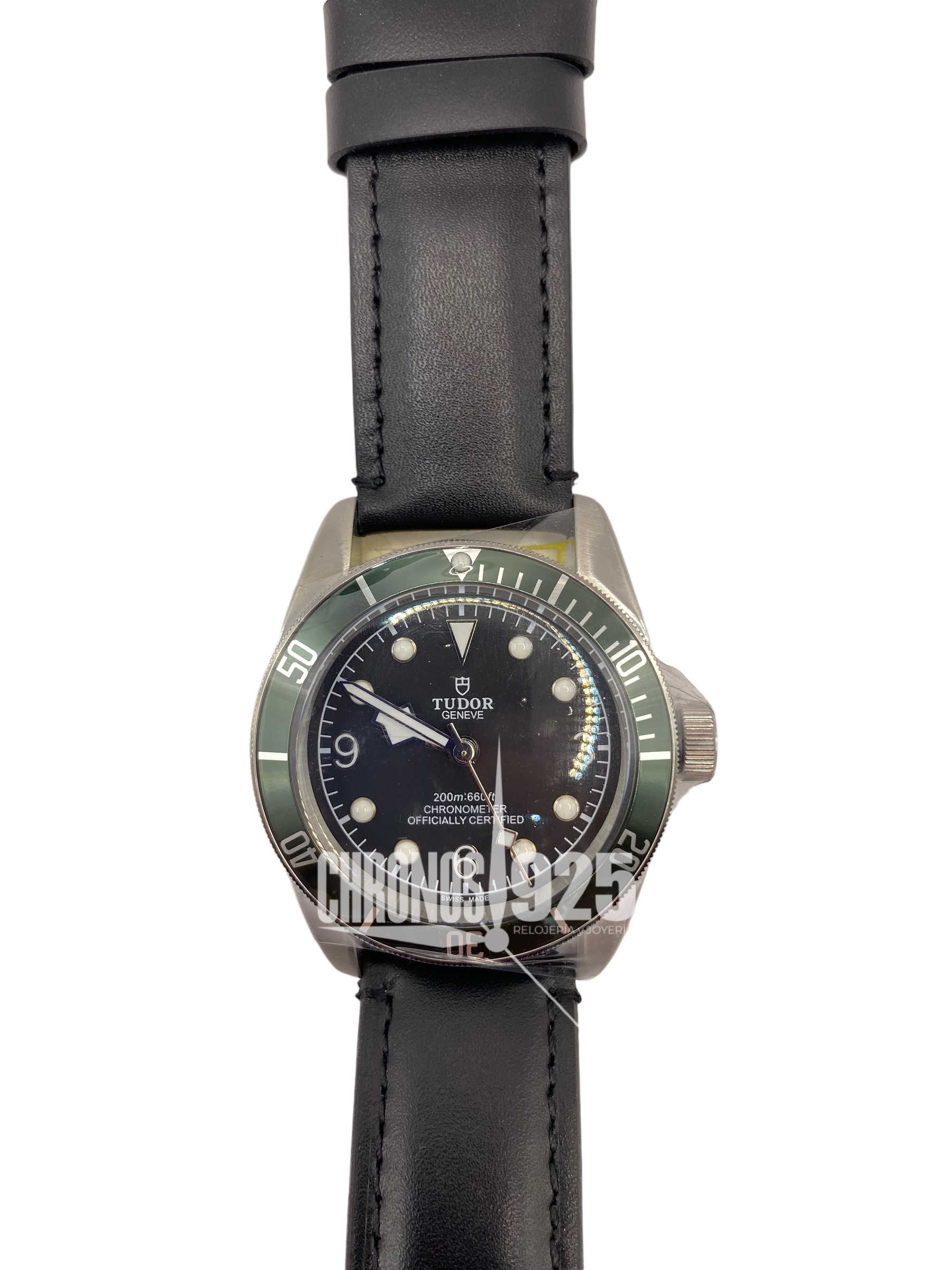 Tudor Black Bay